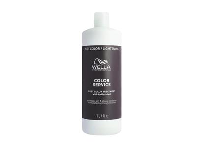 Color Service Farbnachbehandlung 1 Liter