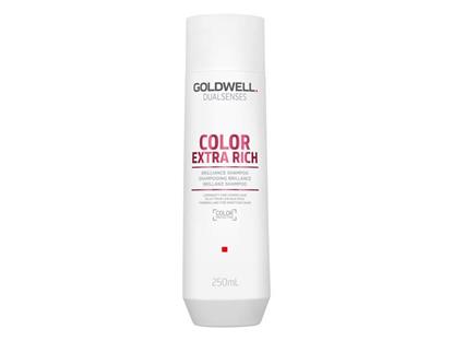 DS COLOR EXTRA RICH BRILLIANCE Shampoo 250ml