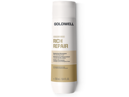 DS Rich Repair Shampoo 250ml