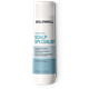 DS Scalp Specialist Haarverdichtendes Shampoo 250ml