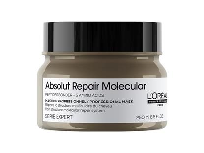 EXP Absolut Repair Molecular Mask 250ml