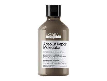 EXP Absolut Repair Molecular Shampoo 300ml