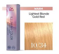 Illumina Color 10/34