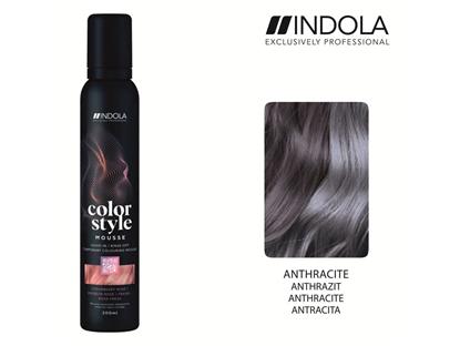 INDOLA Color Style Mousse Anthrazit 200ml