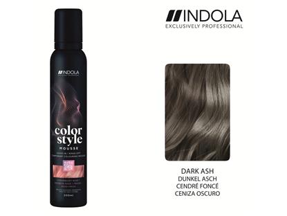 INDOLA Color Style Mousse Dunkel Asch 200ml