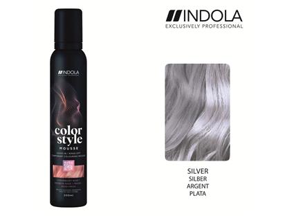 INDOLA Color Style Mousse Silber 200ml