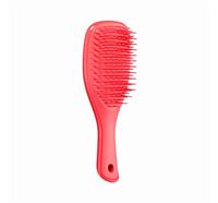 Mini Wet Detangler Hairbrush Pink Punch