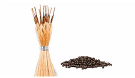 Nanoring Extensons