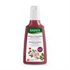 Rausch Wildrose Farbschutz-Shampoo 200ml